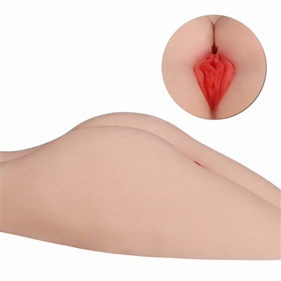 Hete Verkoop &amp; Hoog - kwaliteits Sexy Ezel en de Grote Sexy Ezel van het Vaginaspeelgoed en Vette Vagina 3d Grote Ezel met Strakke Pussy