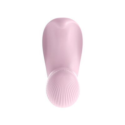 Afstandsbediening Vrouwelijke masturbator Vibrator Speelgoed Panty Vibrator Voor Dames