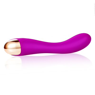 10 snelheden dildo vibrator USB oplaadbare G-spot clitoris vibrator massage voor vrouwen