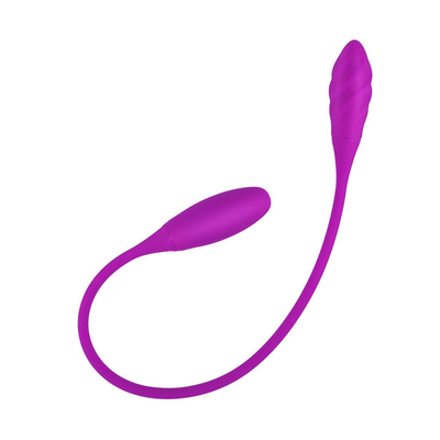 Anal dubbel vibrator 6 Multi-speed G-spot vibrator Eieren oplaadbare clitorale vibrator voor stel