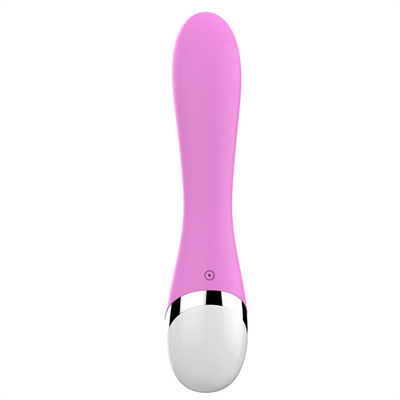 10 snelheden medisch siliconen oplaadbaar seksspeelgoed Vrouwen vibrator