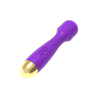 Grappig en Draagbaar Vibrator Seks Speelgoed Vrouwelijk, Vibrator Seks Speelgoed Dildo