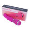 USB die Trillend de Vaginageslacht Toy Women Vibrator For Women laden van 12 Frequentiedildo